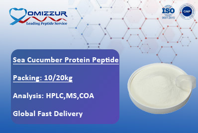 Sea Cucumber Protein Peptide